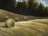 David Ffrench le Roy, VIEW OF HAY BALES