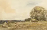 Claude Hayes, HAYMAKING