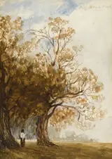 Andrew Nicholl, STUDY IN HYDE PARK