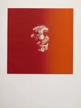 Louis le Brocquy, HEAD ON A RED GROUND