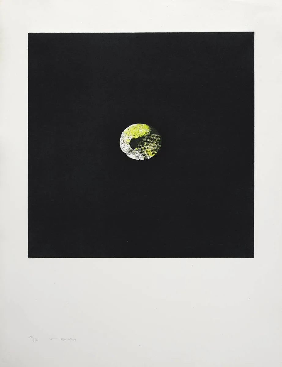 LEMON by Louis le Brocquy, 1974, aquatint; (no. 7 from an edition of 75), sold Mar 2020