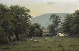 Charles McAuley, SHEEP GRAZING