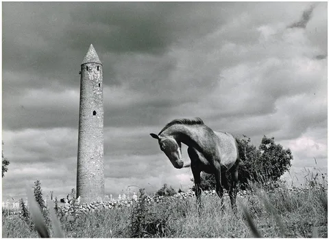 Bill Doyle, SCENES FROM RURAL IRELAND (SET OF TWELVE), photographs; (12); (all unframed)