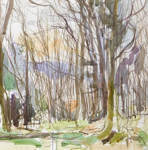 Marc Reilly, TREES, 2007, watercolour