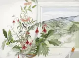 Pauline Bewick, FUCHSIA