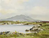 CONNEMARA, Whyte's 2019