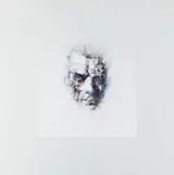 Louis le Brocquy, IMAGE OF SAMUEL BECKETT