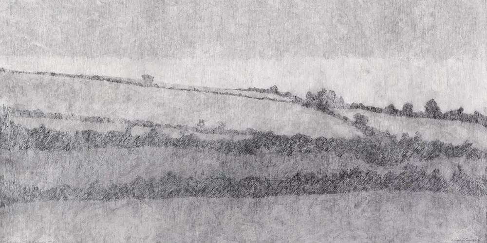 Gypsy Ray, TULLABRIN LANDSCAPE, NO. 3, 2014, graphite and hard pastel on archival Fabriano paper