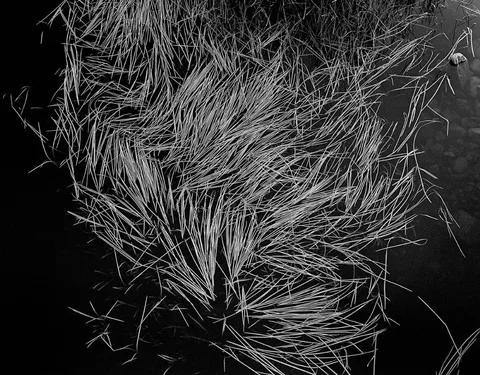 Amelia Stein, STREAM, BÉAL DEIRG 1, 2019, archival pigment print on bamboo paper; (artist's proof from an edition of 3)