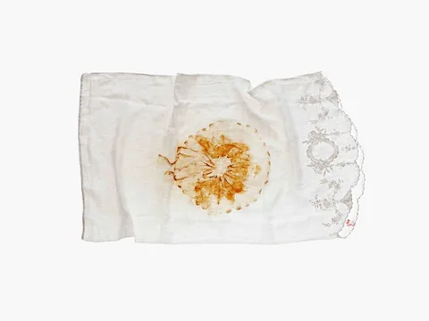 Dorothy Cross, JELLYFISH PILLOWCASE 2, 2004, archival print on fabric
