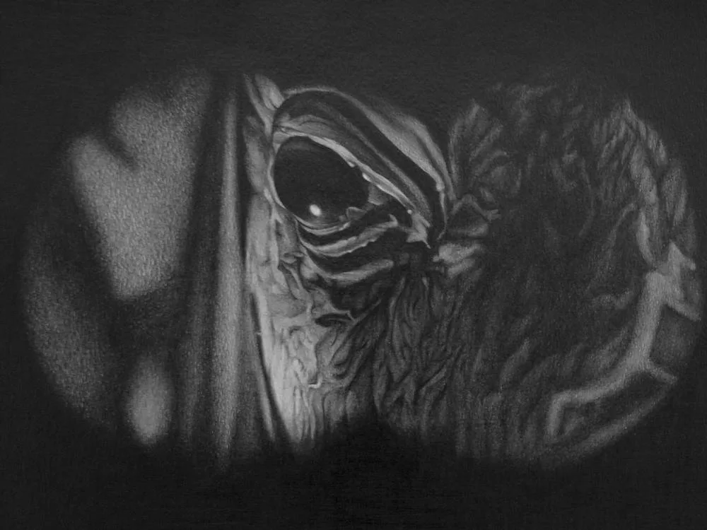 BINOCULAR VISION by Magnhild Opdøl, 2012, pencil on paper, offered Sep 2019