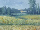 Brett McEntagart, SUNFLOWER FIELDS