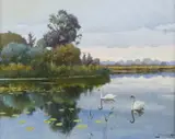 Padraig Lynch, CORSTOWN LAKE, COUNTY MEATH