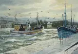 Neville Henderson, HOWTH HARBOUR, COUNTY DUBLIN