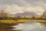 Gerry Marjoram, CATTLE RESTING, ERRIFF RIVER, COUNTY MAYO