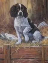 John Trickett, DIGESTING THE NEWS