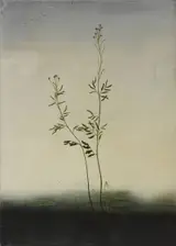 Michael Canning, SONG