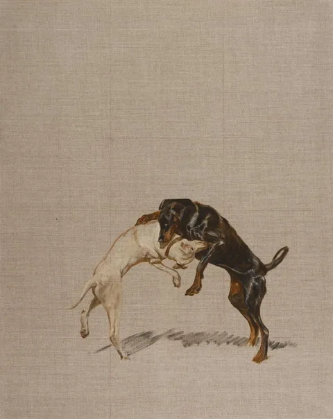 Eoin Llewellyn, STUDY FOR TWO DOGS, 2011, oil on linen
