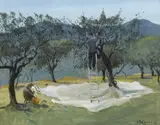 Cecil Maguire, HARVESTING OLIVES, NARNI, ITALIA