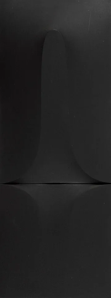Theo McNab, SCHIZOGENESIS S5-E, acrylic on canvas; (in relief)