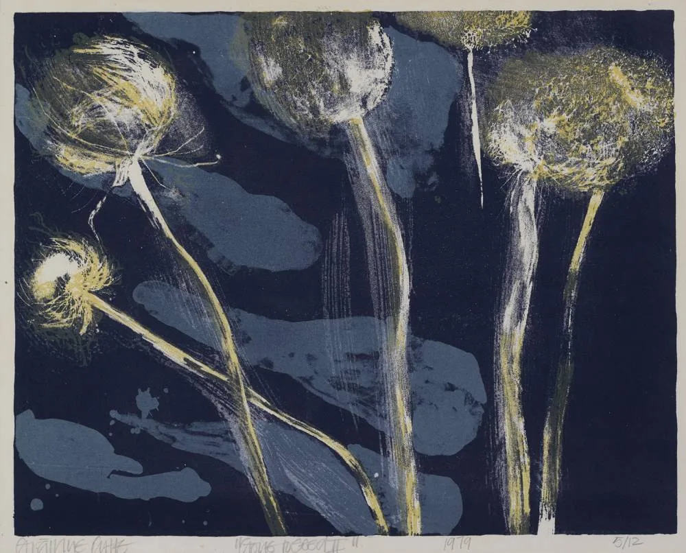 Gráinne Cuffe, GONE TO SEED II, 1979, lithograph; (no. 5 from an edition of 12)