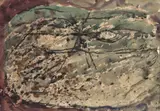 Alicia Boyle, LUNAR STONE, DUNMANUS BAY, COUNTY CORK