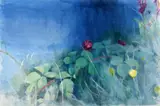 WILD FLOWERS, Whyte's 2018