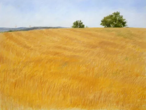 Jacqueline Corbiere, CORN FIELD, pastel