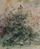 Violet McAdoo, WILD FLOWERS and WILD FLOWERS AND ROCKS (A PAIR)