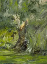 Mary Lohan, TREE