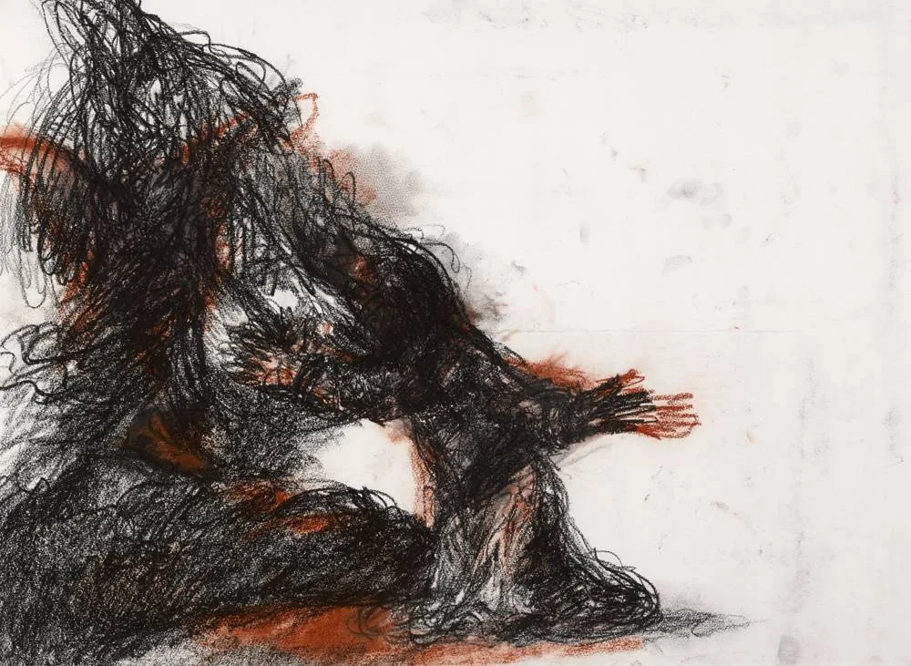 UNTITLED by David Roche, charcoal and coloured chalks, offered May 2018