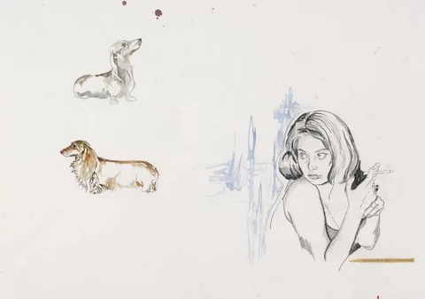 Caitriona Moore, I DON'T KNOW WHY HE CALLED ME A GERMAN SAUSAGE, charcoal, watercolour and collage