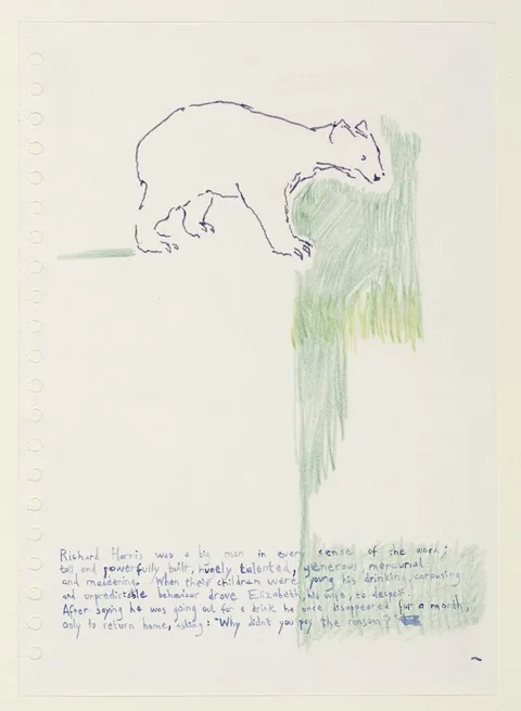 Caitriona Moore, BEAR, ink and coloured pencil