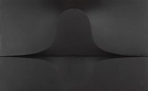 Theo McNab, SCHIZOGENESIS S2-B, acrylic on canvas construction; (in relief)