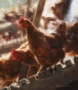 Mark O'Neill, HENS