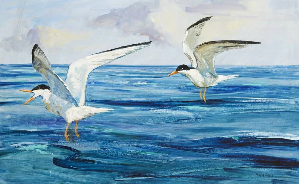 Robert Taylor Carson, TERNS, 1976, oil on panel