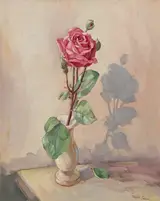 Robert Taylor Carson, THE RED ROSE