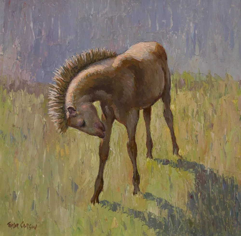CONNEMARA FOAL by Robert Taylor Carson, 1976, oil on canvas board, offered Dec 2017
