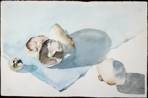 Ruth O'Donnell, STILL LIFE - MUSHROOMS, 1992, watercolour