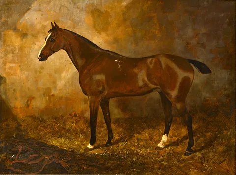 William Osborne, THE COUNT (PROPERTY OF S.A. ROBERTS ESQ., BURLINGTON ROAD), oil on canvas