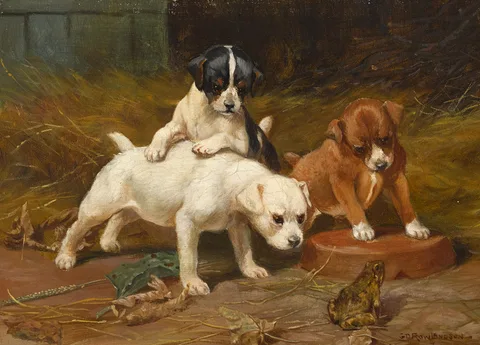 George Derville Rowlandson, PUPPIES EXAMINING A FROG and PUPPIES TEARING A LETTER (A PAIR), oil on canvas