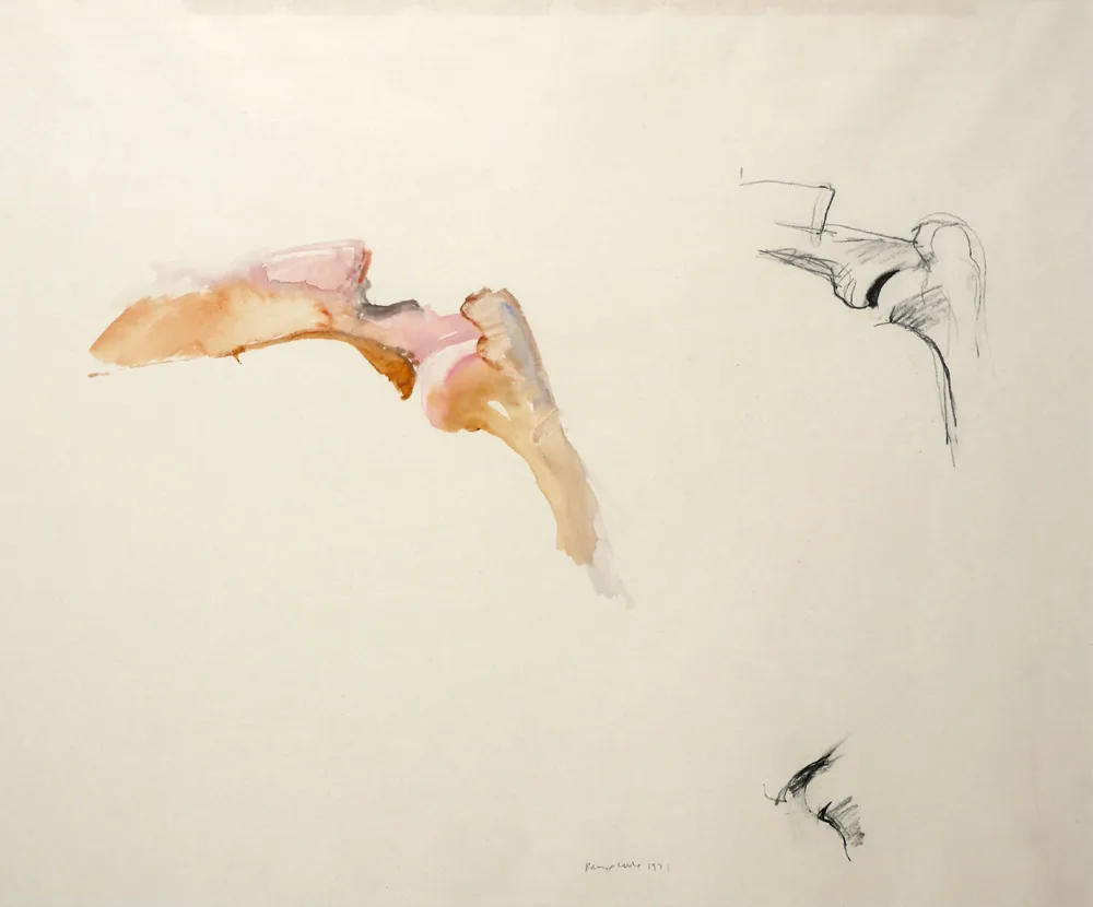BONE DRAWING by Barrie Cooke, 1971, watercolour and charcoal, offered Oct 2017
