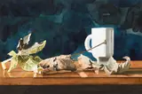 TEA AND LEAVES, Whyte's 2017