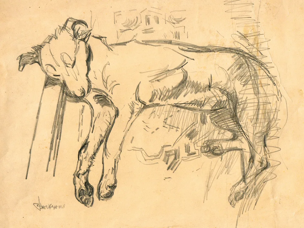 SLEEPING DOG by Basil Blackshaw, pencil; (unframed), sold Oct 2017