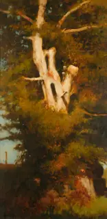 Trevor Geoghegan, THE LIGHTNING TREE