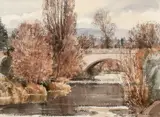 Tom Nisbet, WINTER, DODDER AT MILLTOWN, DUBLIN
