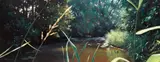 Jimmy Lawlor, RIVER SCENE