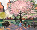 John Skelton, BLOSSOM TIME, MOUNTJOY SQUARE, DUBLIN, MAY