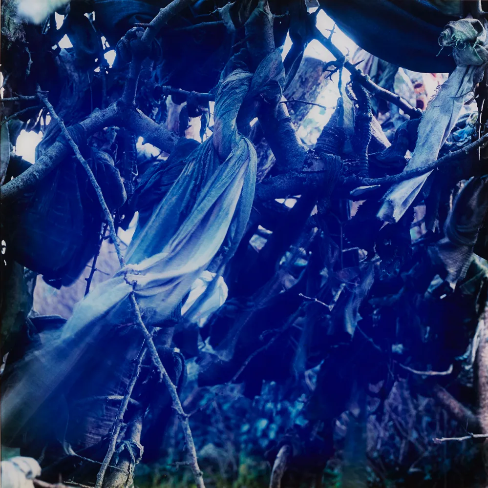 RAG TREE SERIES, 2003 (A PAIR); by Abigail O'Brien, Lambdachrome colour prints; (2); (from an edition of 3), offered May 2017