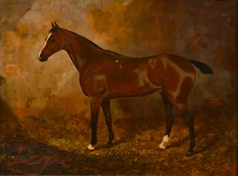 William Osborne, THE COUNT (PROPERTY OF S.A. ROBERTS ESQ., BURLINGTON ROAD), oil on canvas